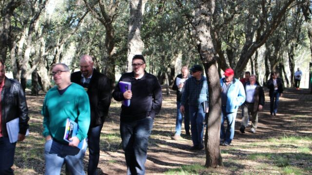 Human Dymensions - Semiotics Walk training