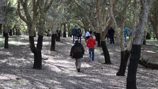 Human Dymensions - Semiotics Walk training