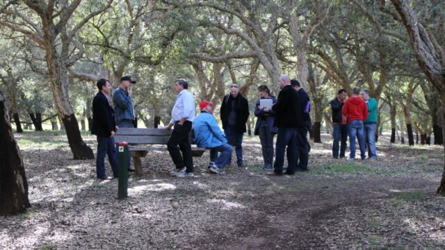 Human Dymensions - Semiotics Walk training