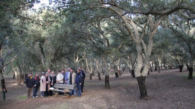 Human Dymensions - Semiotics Walk training