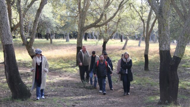 Human Dymensions - Semiotics Walk training