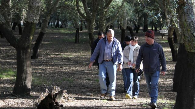 Human Dymensions - Semiotics Walk training