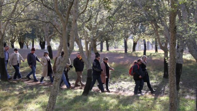 Human Dymensions - Semiotics Walk training