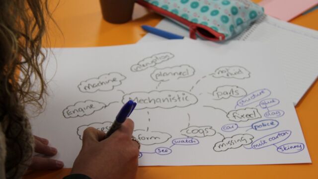 Human Dymensions - Concept Mapping training